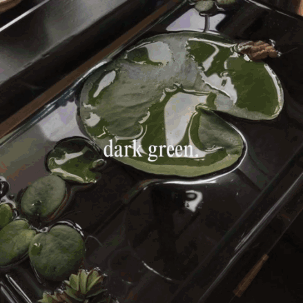 A Dark Green Leaf Is In The Water GIF
