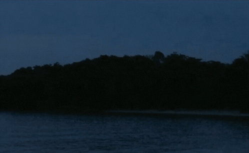 A Dark Lake With Trees In The Background And A Blue Sky GIF