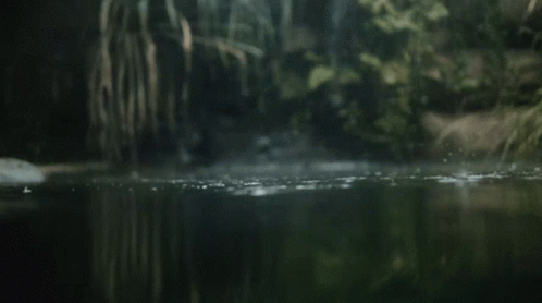 A Dark River With Trees In The Background And A Few Drops Of Water GIF