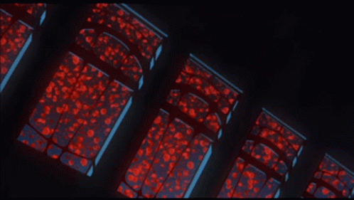A Dark Room With A Lot Of Red Lights On GIF