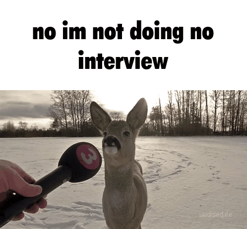 A Deer Is Being Interviewed By A Person Holding A Microphone GIF