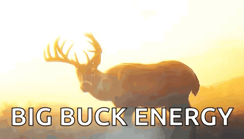 A Deer Is Standing In A Field With The Words Big Buck Energy Written Below It GIF