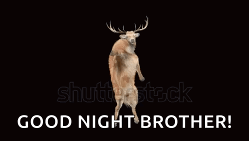 A Deer Standing On Its Hind Legs With The Words Good Night Brother Written Below It GIF