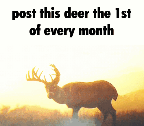 A Deer Stands In A Field With The Words Post This Deer The 1St Of Every Month GIF