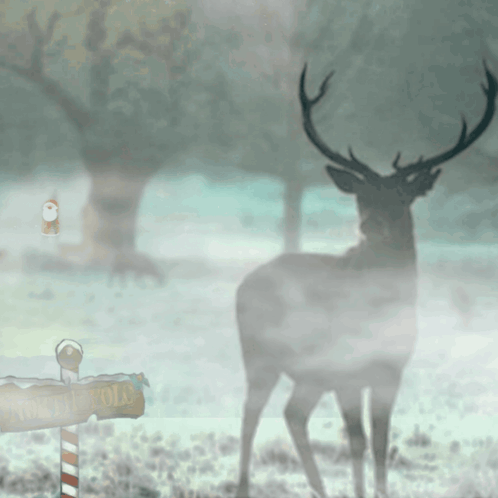 A Deer Stands In The Fog Near A Sign That Says North Pole GIF