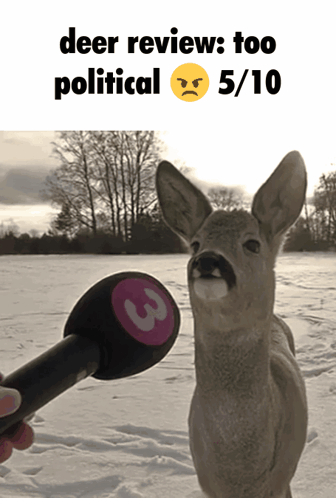 A Deer With A Mustache Is Being Interviewed By A Person GIF