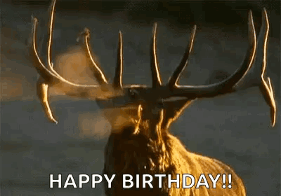 A Deer With Antlers Is Blowing Smoke Out Of Its Mouth And Says `` Happy Birthday ! '' GIF