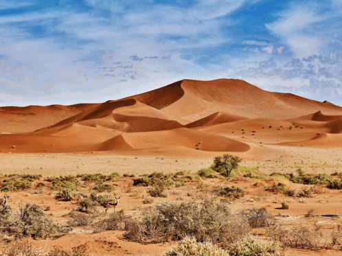 A Desert Landscape With Sand Dunes And A Blue Sky GIF