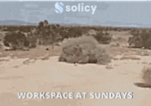 A Desert Landscape With The Words Workspace At Sundays On The Bottom GIF