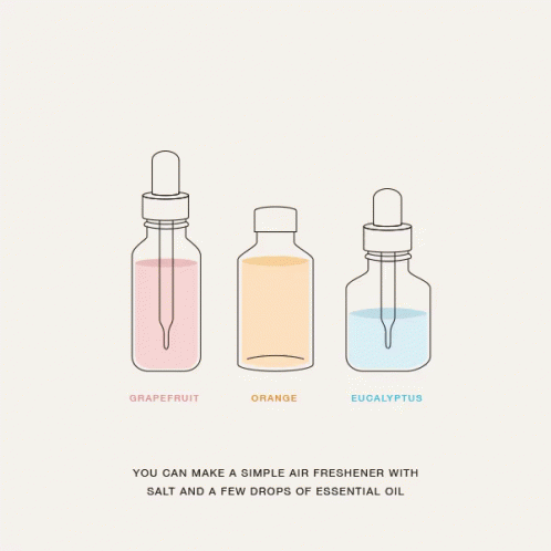 A Diagram Showing How To Make An Air Freshener With Grapefruit Orange And Eucalyptus Essential Oil GIF