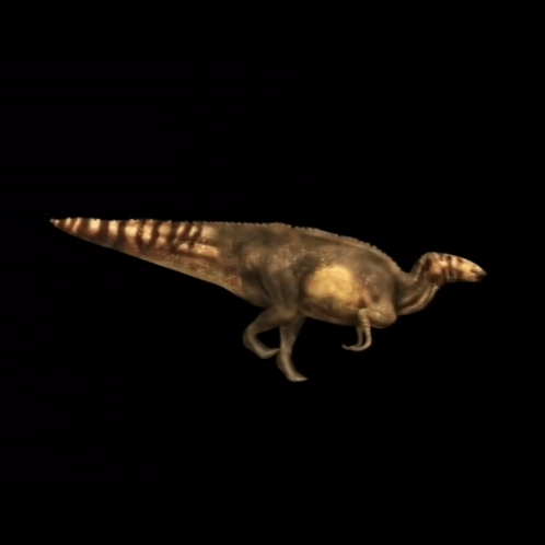 A Dinosaur With A Black Background Is Walking GIF