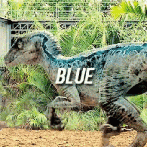 A Dinosaur With The Word Blue On It Is Running In The Dirt GIF