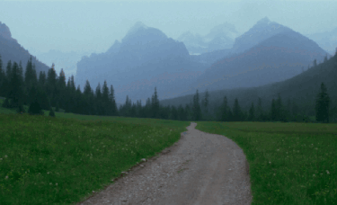 A Dirt Road Going Through A Grassy Field In The Mountains GIF