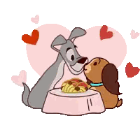 a dog and a puppy are kissing over a bowl of spaghetti .