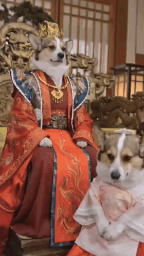 A Dog Dressed As A King Sits Next To Another Dog GIF