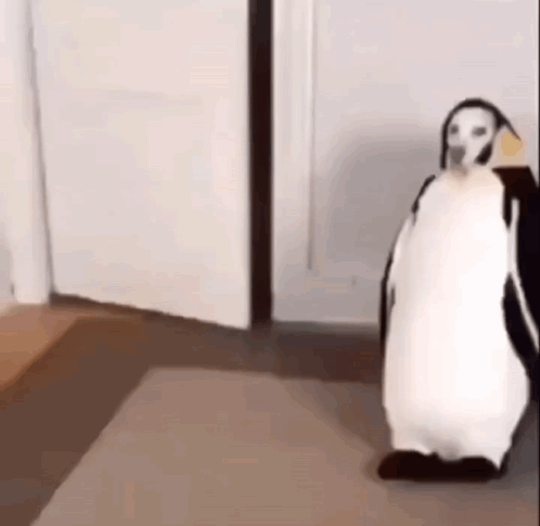 A Dog Dressed As A Penguin Is Standing On A Rug In A Room . GIF