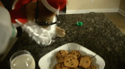 A Dog Dressed As Santa Claus Looks At A Plate Of Cookies And Milk GIF