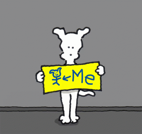 A Dog Holding A Sign That Says Plus GIF