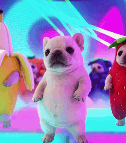 A Dog In A Banana Costume Stands Next To A Strawberry Costume Dog GIF