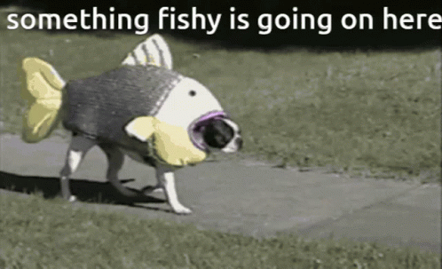 A Dog In A Fish Costume Walking Down A Sidewalk GIF