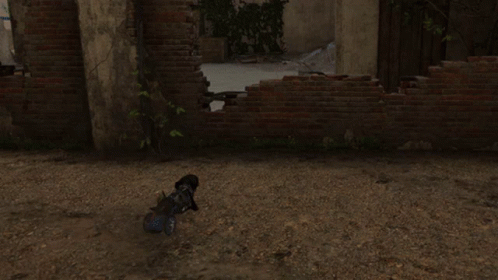 A Dog In A Wheelchair Is Standing In Front Of A Brick Wall With A Sign That Says ' A ' On It GIF