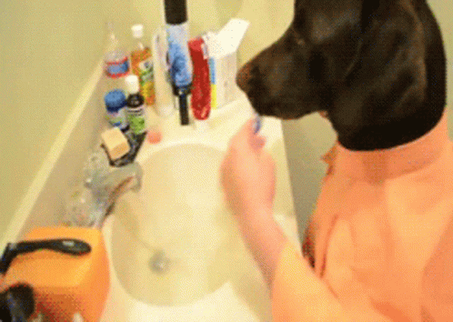 A Dog Is Brushing Its Teeth In The Bathroom Sink GIF