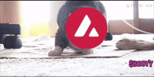 A Dog Is Crawling On The Floor With A Red Circle With A Triangle In The Middle And The Word Booty In Pink Letters GIF