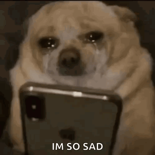 a dog is crying while looking at a cell phone and says `` im so sad '' .