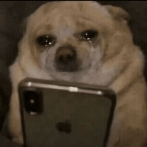 A Dog Is Crying While Looking At An Iphone GIF