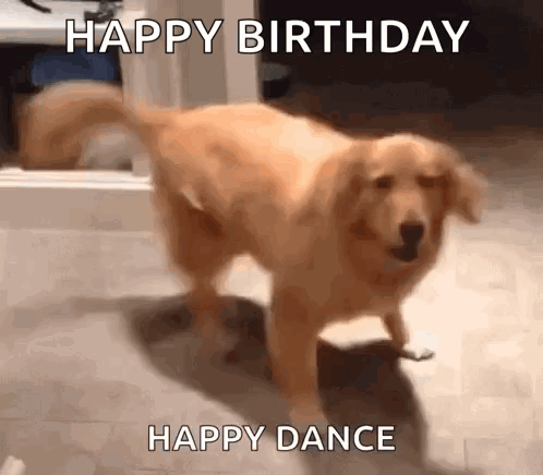 Dog Dancing With Happy Birthday And Happy Dance GIF