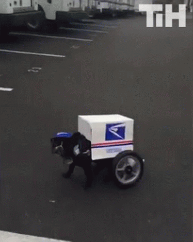 A Dog Is Dressed As A Postman And Is Riding A Cart With A Box On It . GIF
