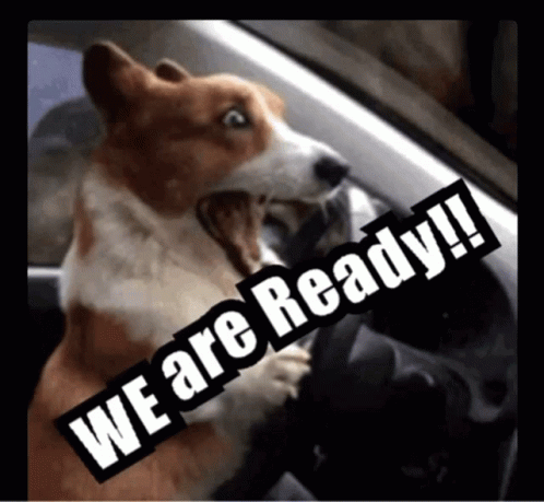 A Dog Is Driving A Car With A Sign That Says We Are Ready GIF