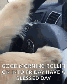 A Dog Is Driving A Car With Its Paw On The Steering Wheel . GIF