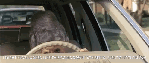 A Dog Is Driving A Car With The Words I Might Have Looked Like This Going Down GIF