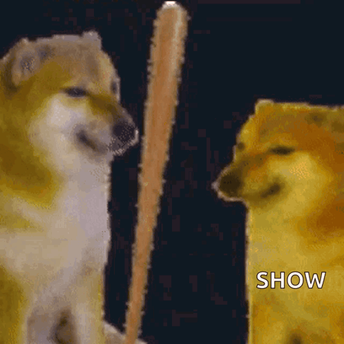 A Dog Is Holding A Baseball Bat In Front Of A Sign That Says Bonk Show GIF