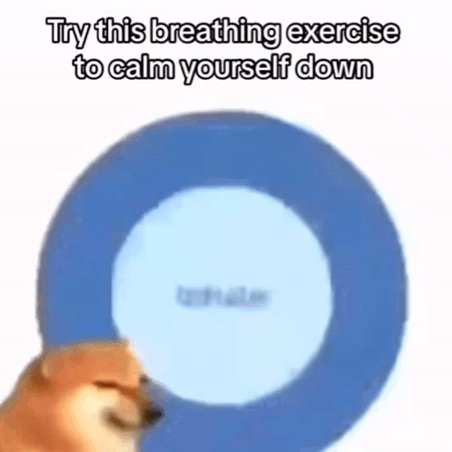 A Dog Is Holding A Blue Circle In Front Of His Face . GIF