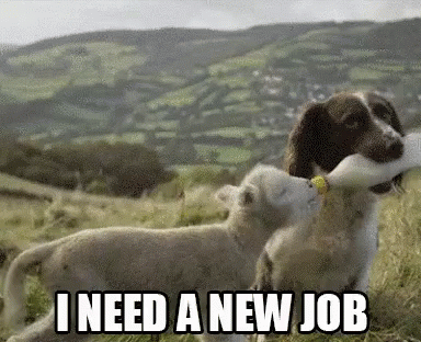 A Dog Is Holding A Bottle In Its Mouth Next To A Sheep And The Words " I Need A New Job " GIF