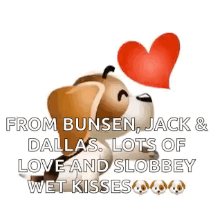 A Dog Is Holding A Heart In Its Mouth And Says `` From Bunsen , Jack & Dallas GIF