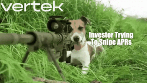 A Dog Is Holding A Sniper Rifle In The Grass GIF