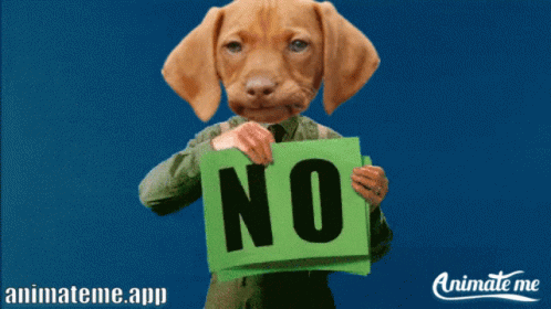 A Dog Is Holding Up A Sign That Says No GIF