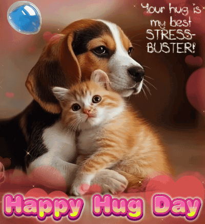 A Dog Is Hugging A Kitten With The Words " Your Hug Is My Best Stress Buster " On The Bottom GIF