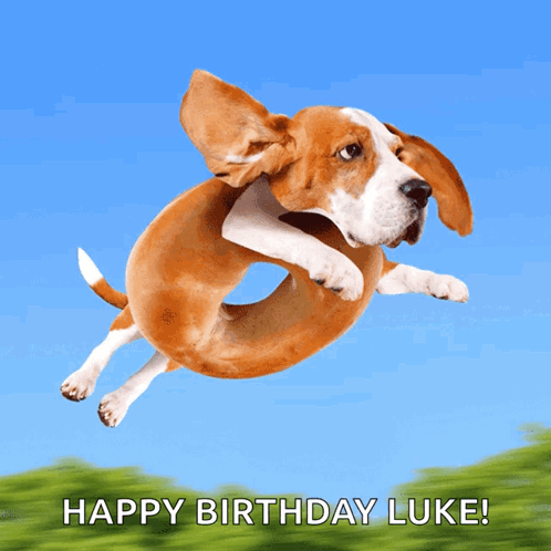 A Dog Is Jumping In The Air With The Words " Happy Birthday Luke " Below It GIF