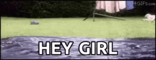 A Dog Is Jumping Into A Pool Of Water With The Words `` Hey Girl '' Written Above It . GIF