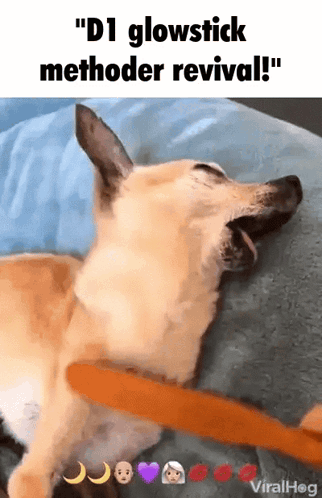 A Dog Is Laying Down With Its Mouth Open And A Glowstick Sticking Out Of Its Mouth GIF