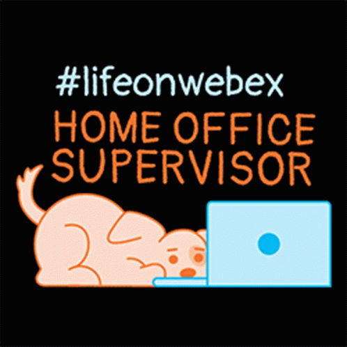 A Dog Is Laying In Front Of A Laptop With The Words " Home Office Supervisor " On The Bottom GIF