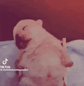 A Dog Is Laying On A Bed With Fire Coming Out Of Its Mouth GIF