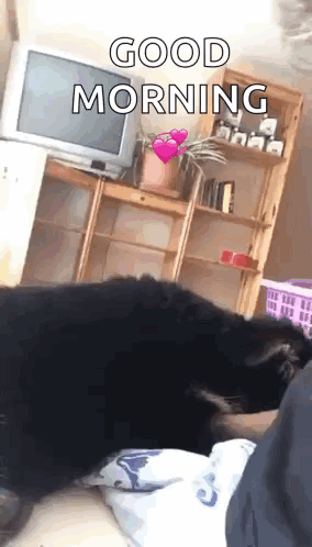 A Dog Is Laying On A Bed With The Words Good Morning Written On It GIF
