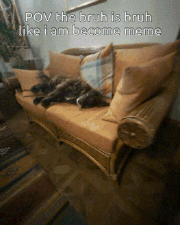 A Dog Is Laying On A Couch With A Caption That Says Pov The Bruh Is Bruh Like I Am Become Meme GIF