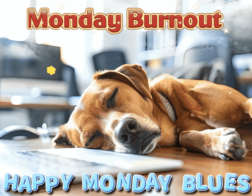 A Dog Is Laying On A Desk With The Words Monday Burnout Happy Monday Blues GIF