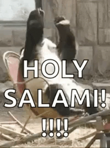 A Dog Is Laying On Its Back In A Chair With Its Paws In The Air . GIF